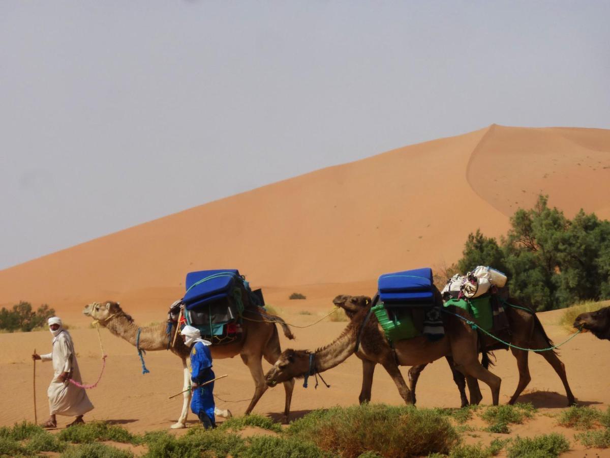 Riad Dar Tiziri Zagora Buitenkant foto