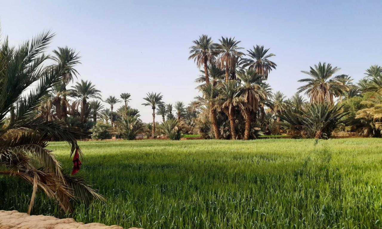 Riad Dar Tiziri Zagora Buitenkant foto
