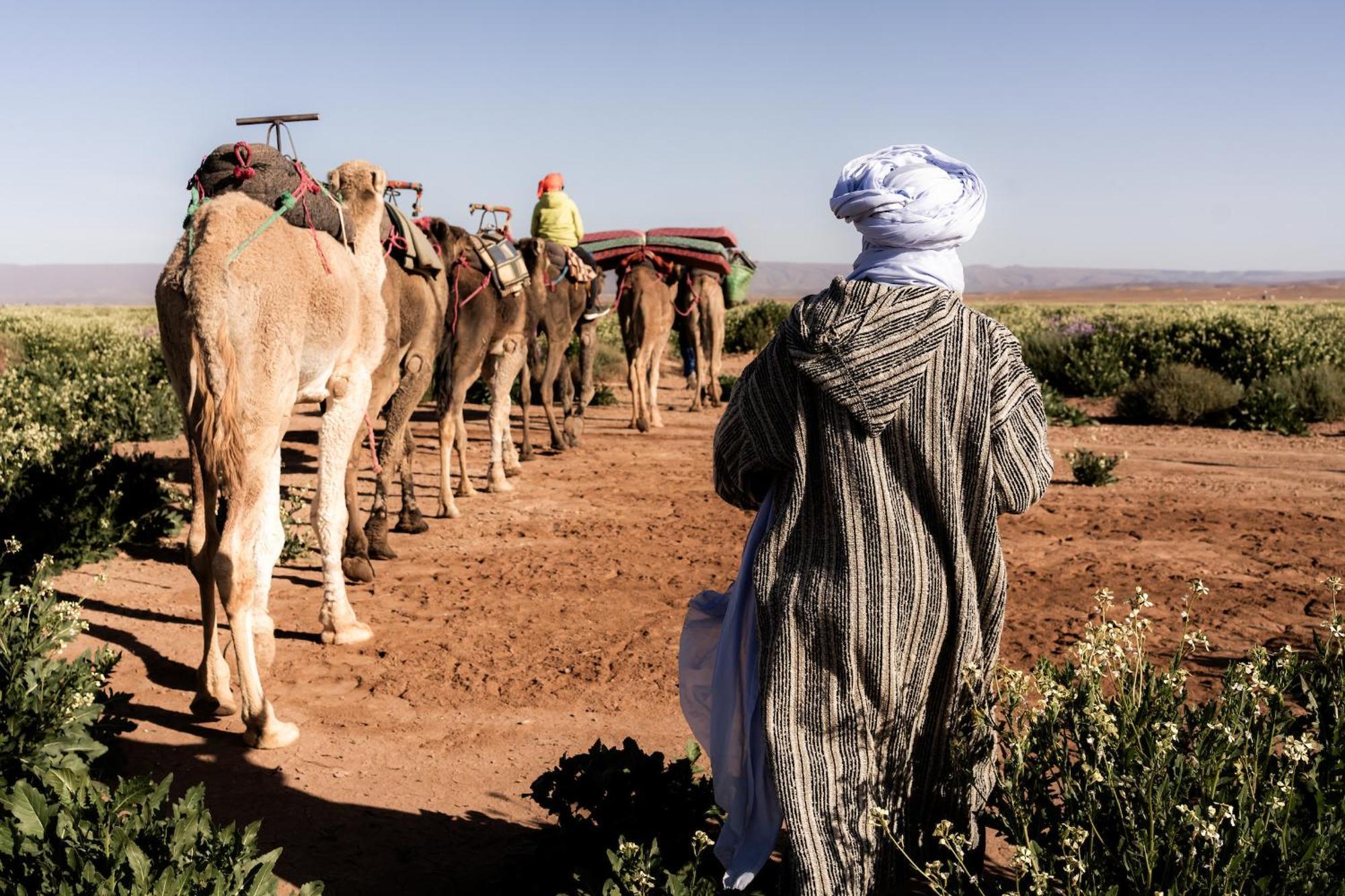 Riad Dar Tiziri Zagora Buitenkant foto